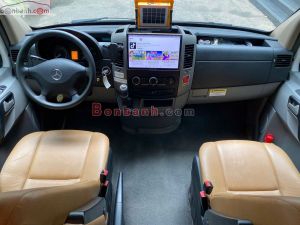 Xe Mercedes Benz Sprinter Renegade Villagio 2014